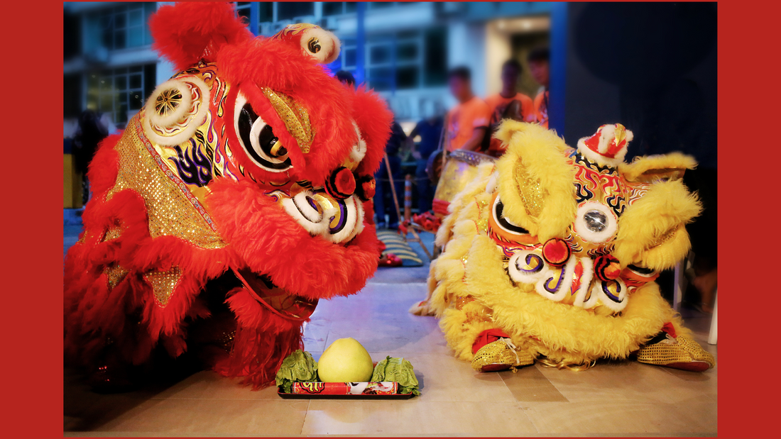 Chinese New Year 2025: Welcoming the Year of the Snake with Traditions, Predictions, and Remedies